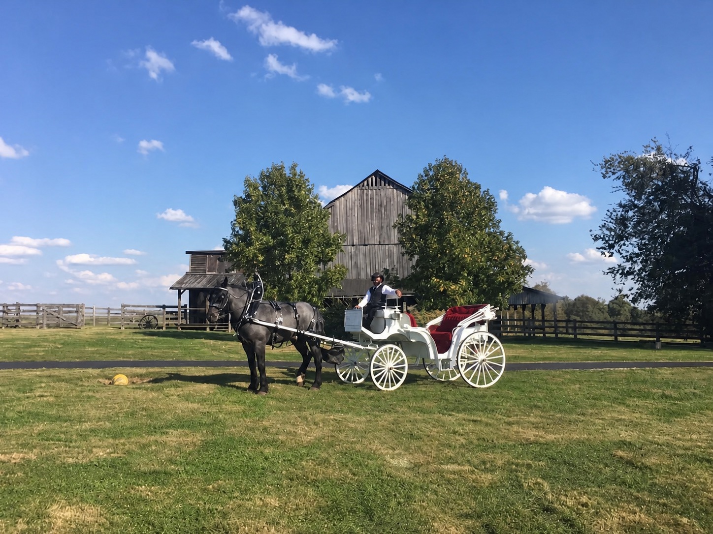 Horse-drawn white carriage in front of a traditional Bardstown-area barn.