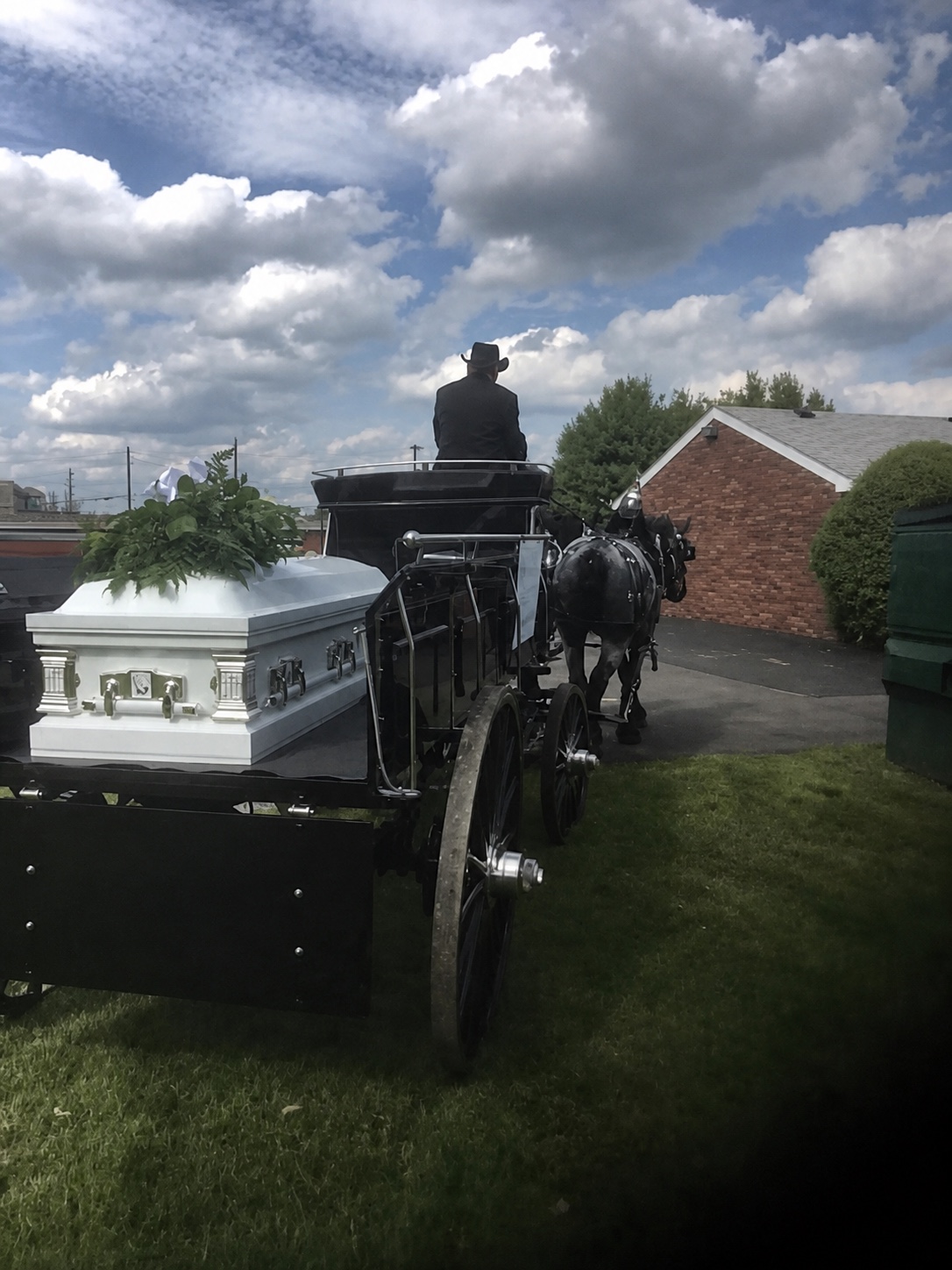 Traditional horse-drawn funeral carriage prepared for a memorial procession.